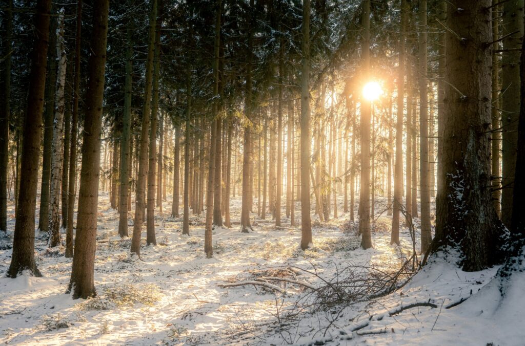 michael held uro6k uw1ku unsplash